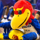 Illustration for article titled Will somebody please check on Baby Jay after that brawl between Kansas and K-State?